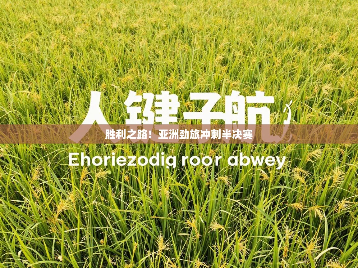 胜利之路!亚洲劲旅冲刺半决赛 第1张